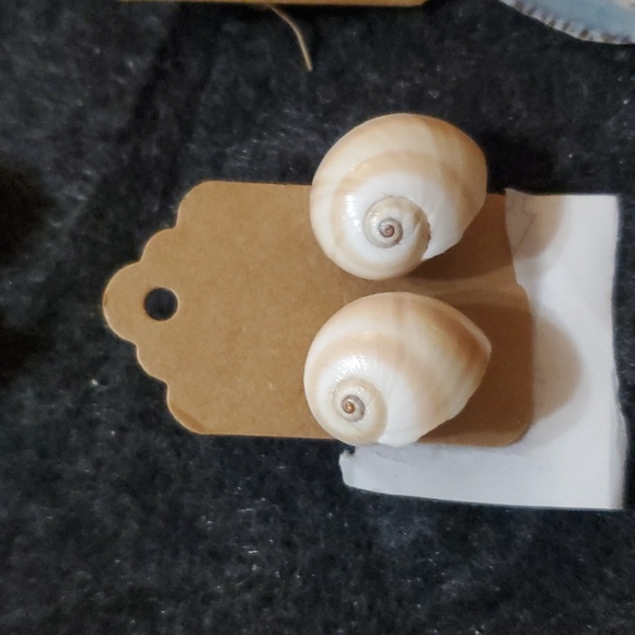 Assorted Shell Earrings - Picture 16 of 16